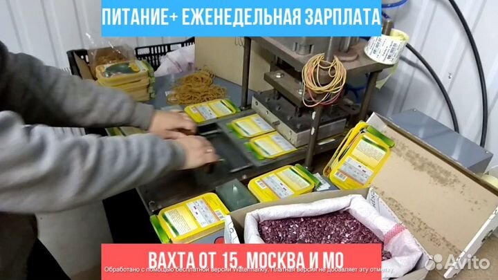Упаковщик семян вахта в Москве сидячая работа