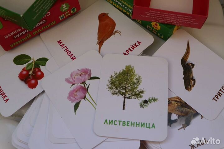 Развивающие карточки, Комплект за два