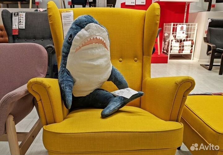 Акула блохэй из Икеа