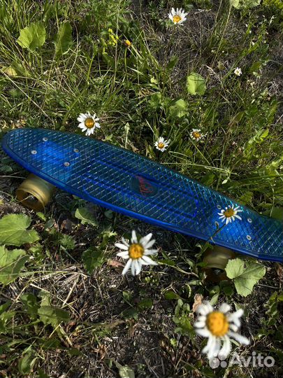 Пениборд светящийся