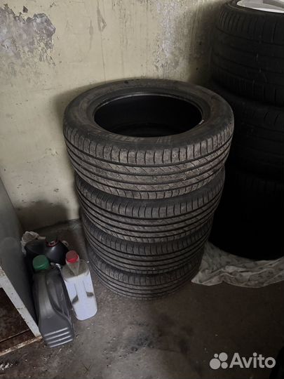 Delinte AW5 195/55 R15