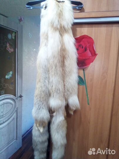 Шкурки лисы