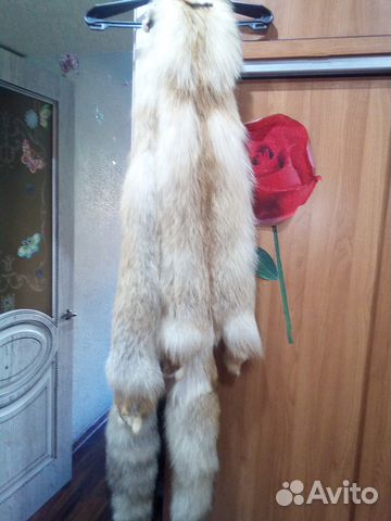 Шкурки лисы