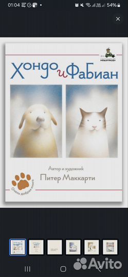 Книга Хондо и Фабиан. Питер Маккарти