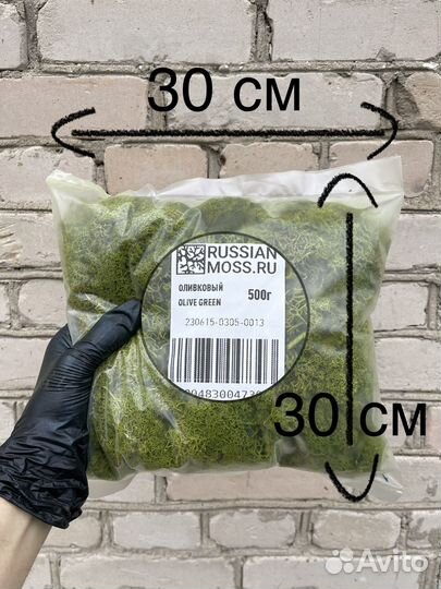 Стабилизированный мох, Лаймовый