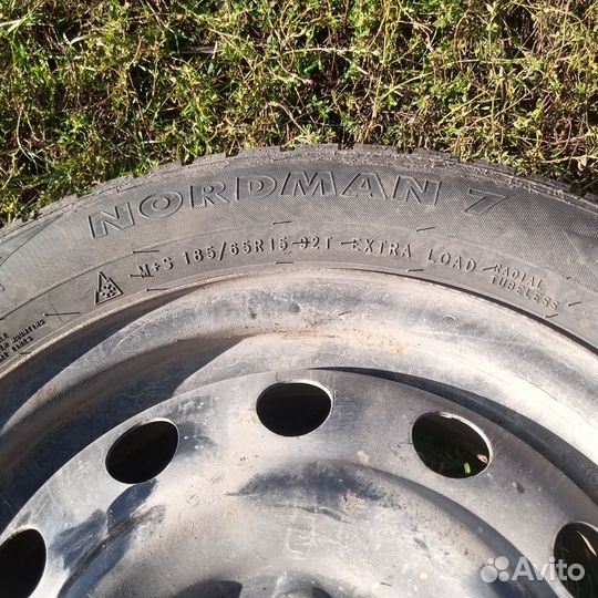 Nordman 7