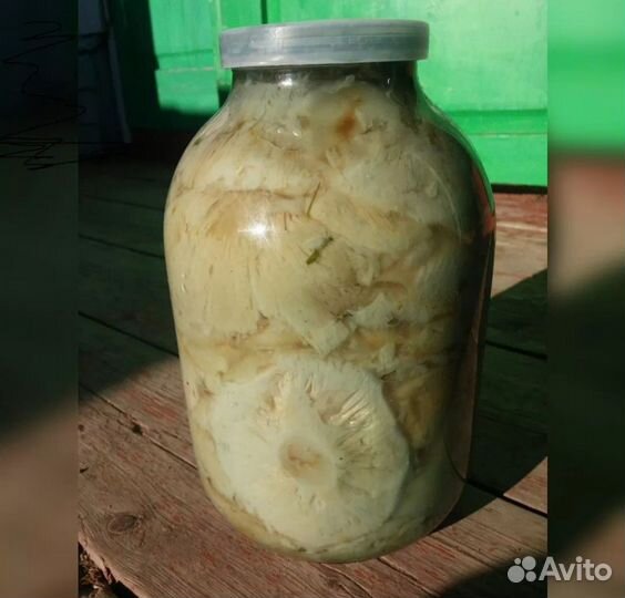 Грибы грузди соленые