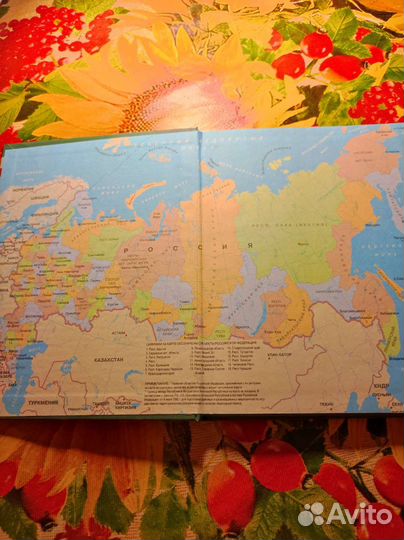 Дневник школьный