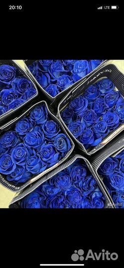 Синие розы натуральные