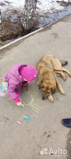 Пëс (прочитайте )