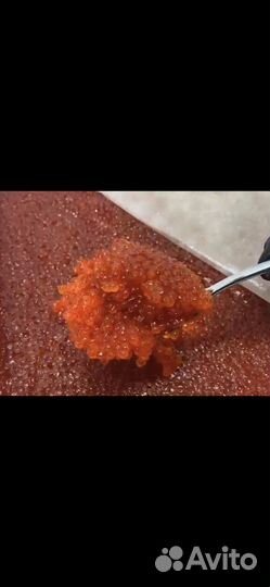 Красная икра путина 2023 (нерка, горбуша)