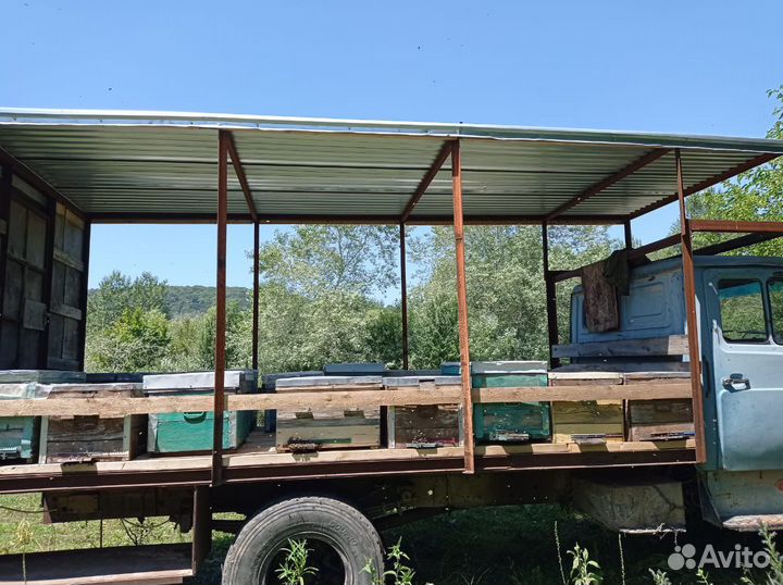 Пчёлы и улья