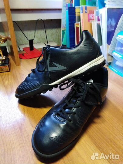 Сороконожки