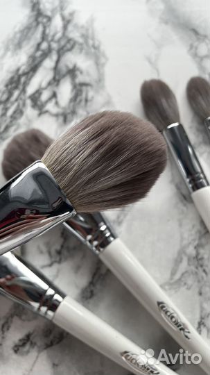 Набор проф кистей для макияжа Ludovic