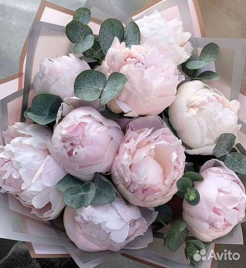 Пионы Цветы Доставка