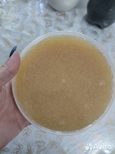 Икра щуки 2024