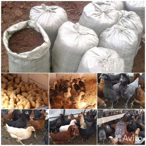 Навоз, перегной