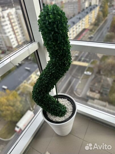 Кактус дерево 120 см
