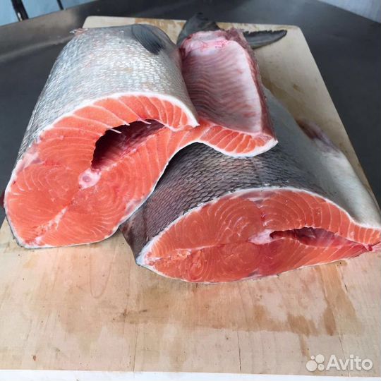 Рыба кета горбуша кижуч нерка