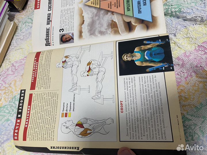 Журнал по бодибилдингу с программами