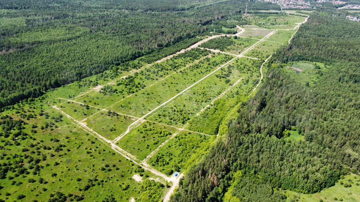 Участок 11,7 сот. (ИЖС)