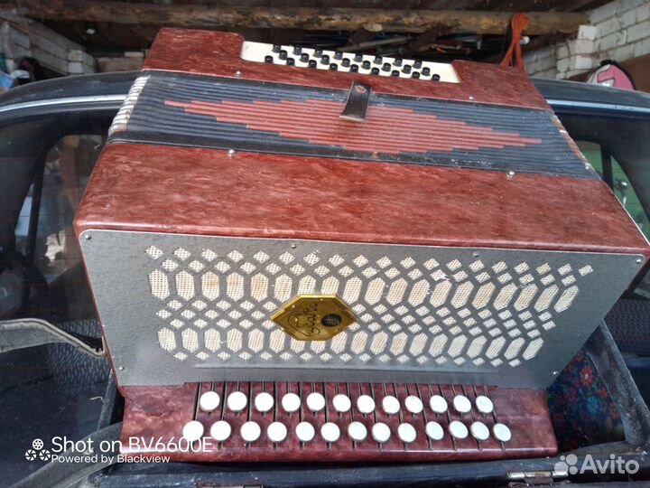 Гармонь Кубань