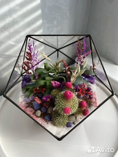Флорариум, суккуленты, комнатные растения