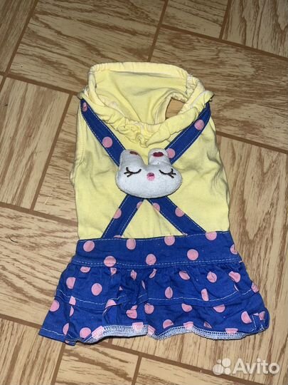 Одежда для собак мелких пород пакетом