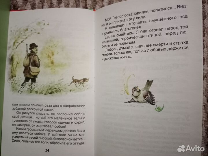 Оранжевое горлышко. Рассказы о природе