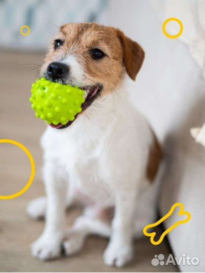 Набор мячиков для собак