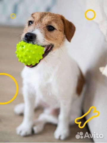 Набор мячиков для собак