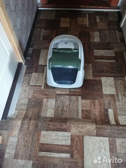 Туалет домик для кошек и котов