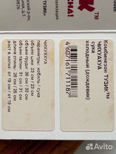 Комбинезон (дождевик) чихуахуа