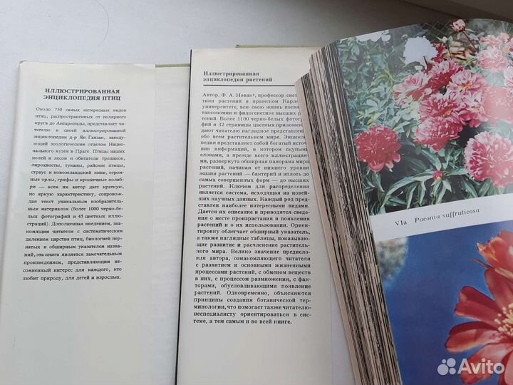 Иллюстрированная энциклопедия растений и птиц