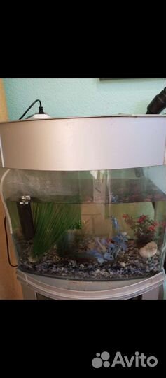 Аквариум