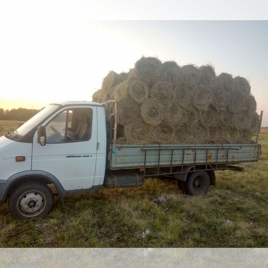 Сено в рулонах большие и маленькие