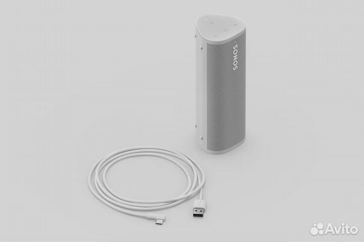 Портативная акустика Sonos Roam Shadow Black