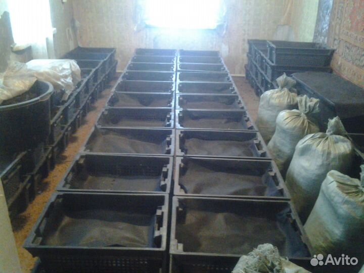 Перфорированные ящики 206,бу