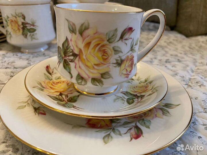 Paragon. Английские трио