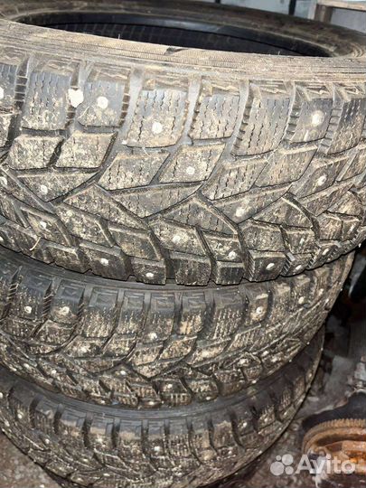 Dunlop All Season Maxx AS1 185/65 R15 23H