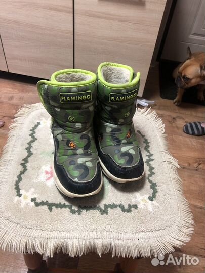 Обувь для мальчика