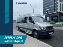 Пассажирские перевозки / заказ автобуса