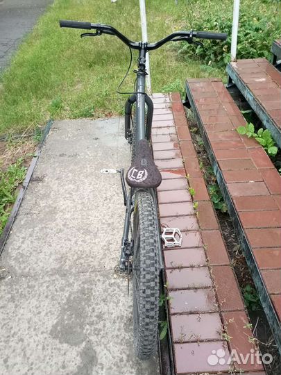 Стрит-триал Czar Ion 24