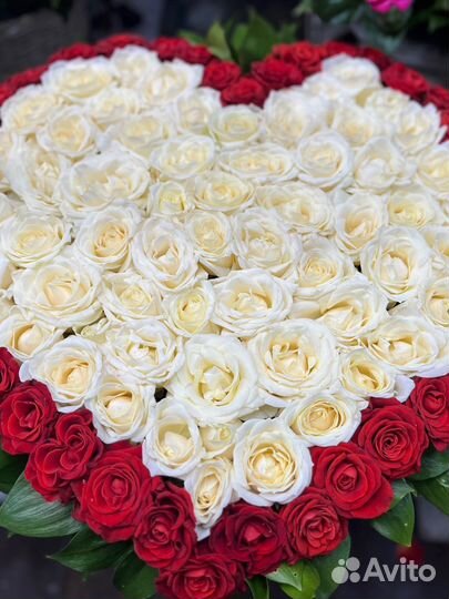 101 Роза в Корзине с Доставкой