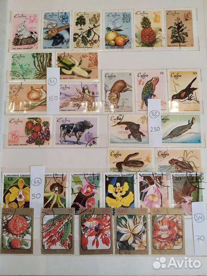 Почтовые марки Куба флора и фауна. Часть 2