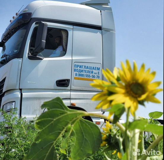 Требуется Дальнобойщик