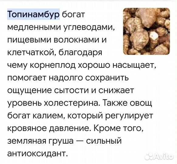 Топинамбур клубни