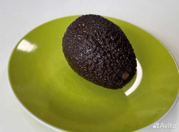 Авокадо Хасс