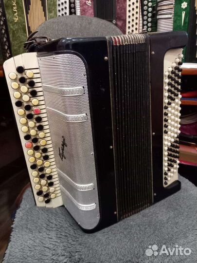 Баян кунгур