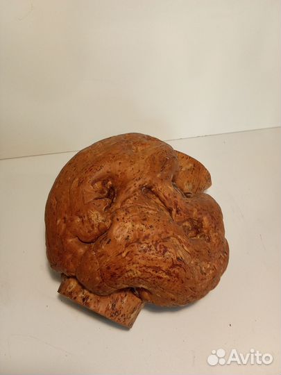 Кап березовый